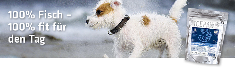 ICEPAW Feuchtfutter...