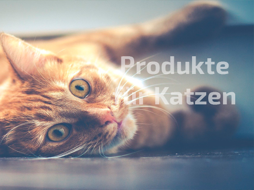 Produkte für Katzen