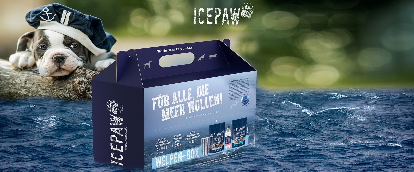 ICEPAW Fischbox als Welpen-Box erhältlich