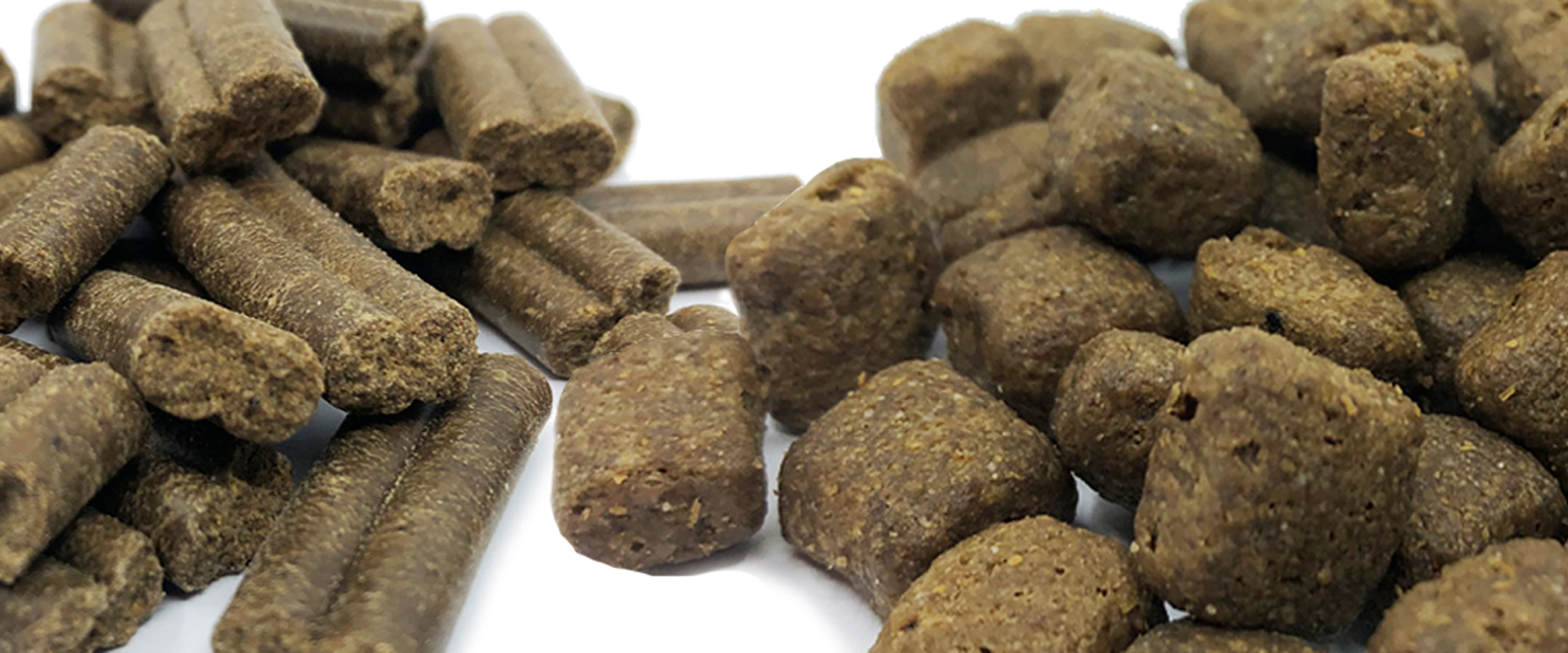 Trockenfutter für Hunde zwei Herstellungsverfahren im Vergleich kaltgepresst oder extrudiert