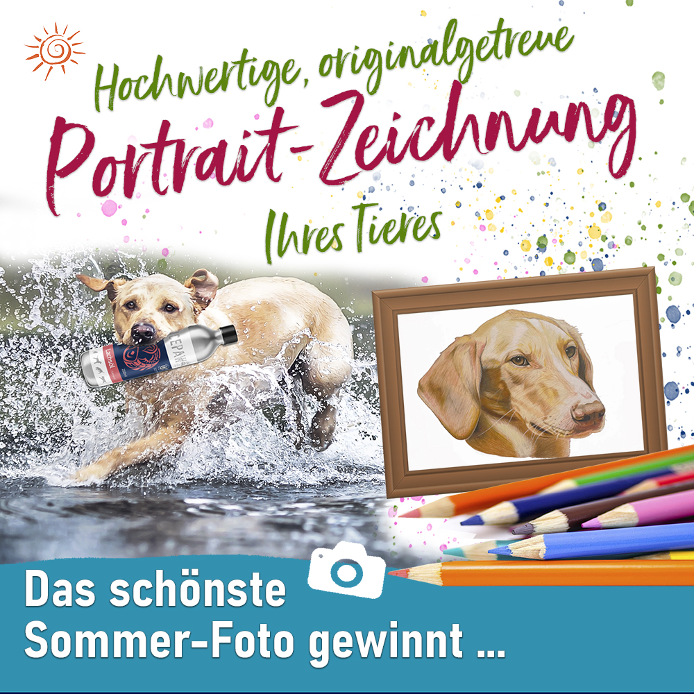 Das schönste Sommer-Foto gewinnt Portrait-Zeichnung