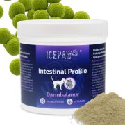 ICEPAW Intestinal ProBio (Cat) 90g