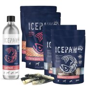ICEPAW Lachs - Box ca. 1,2 kg