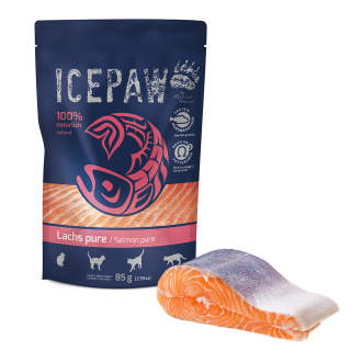 ICEPAW Lachs pure für Katzen 85 g