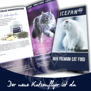 ICEPAW Flyer for cats