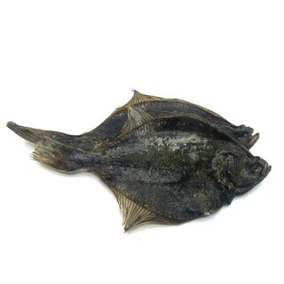ICEPAW Flounder 2 piec