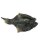 ICEPAW Flounder 2 piec