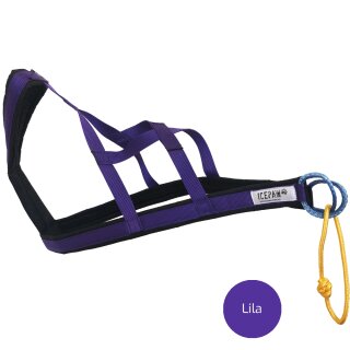 Purple (currently not available in 3XL)